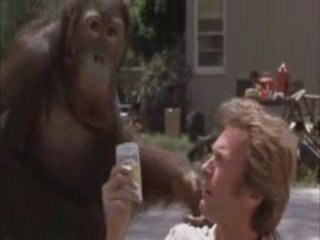 DOUX, DUR , DINGUE - THE B&G EDITION