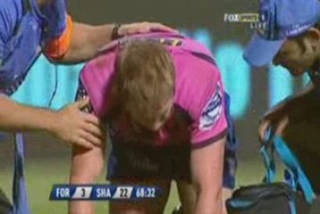 Francois steyn rib buster