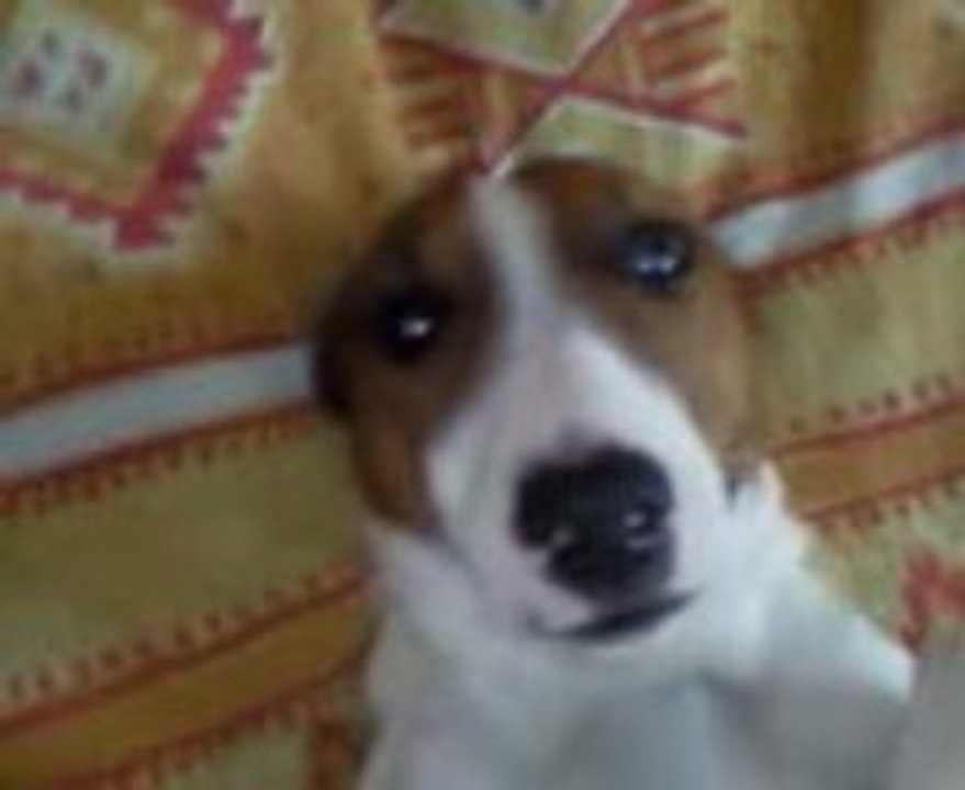 Chiki
