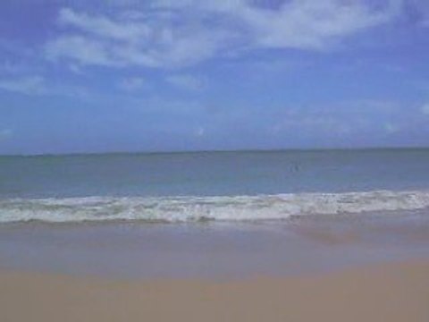 Plage des Salines, Martinique 2008