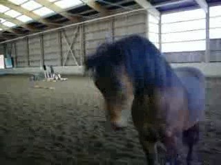 lancelot ki ce cabre