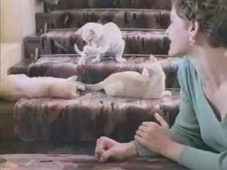 Les Nuls Chats Kwiskas