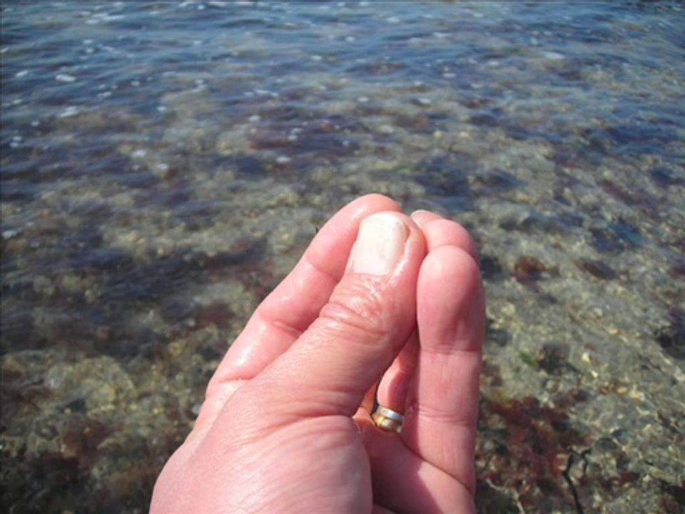 #environ 320 plongées en apnée la mer (la pointe percée)
