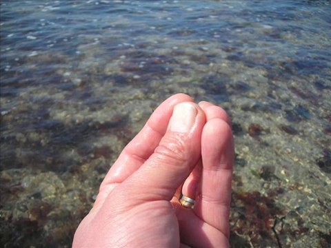 #environ 320 plongées en apnée la mer (la pointe percée)