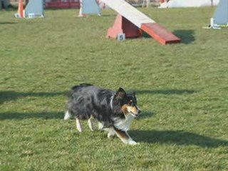 7ème Concours de Cooper