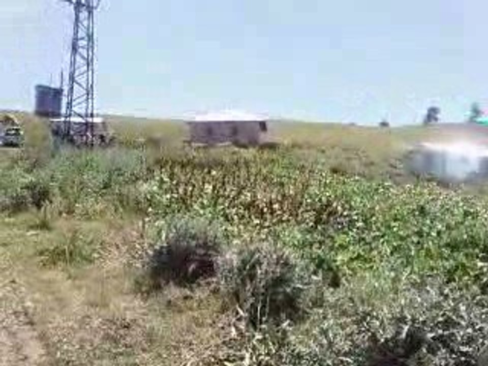 ALUCRA SUBASİ KOYU YAYLA GORUNTULERİ