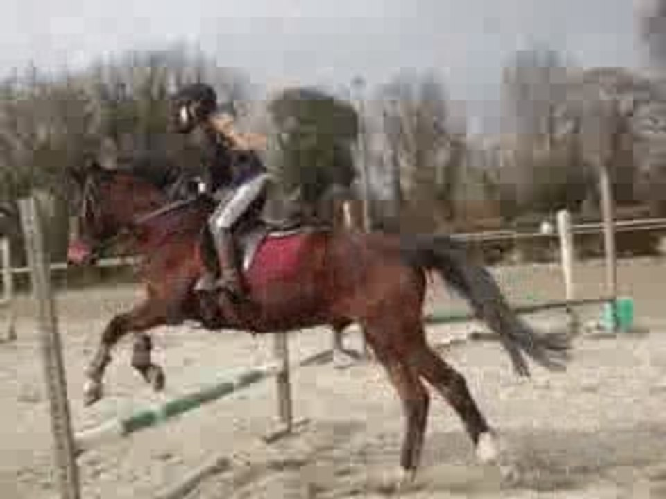 Moii & Urticant en saut !