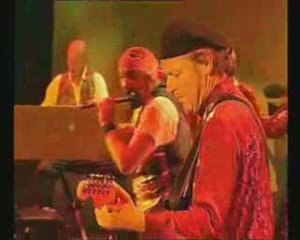 Jethro Tull - Roots To Branches