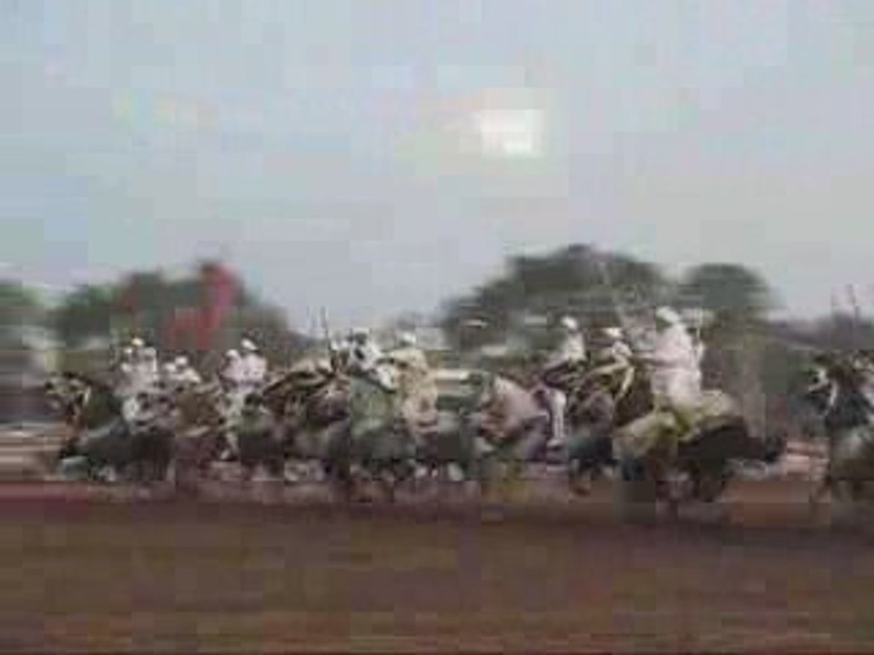 Fantasia maroc