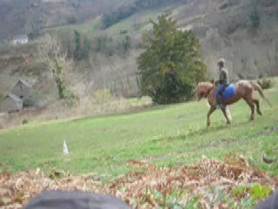 SéanceO'Maley9