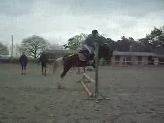 moi et Kaputchi - détente