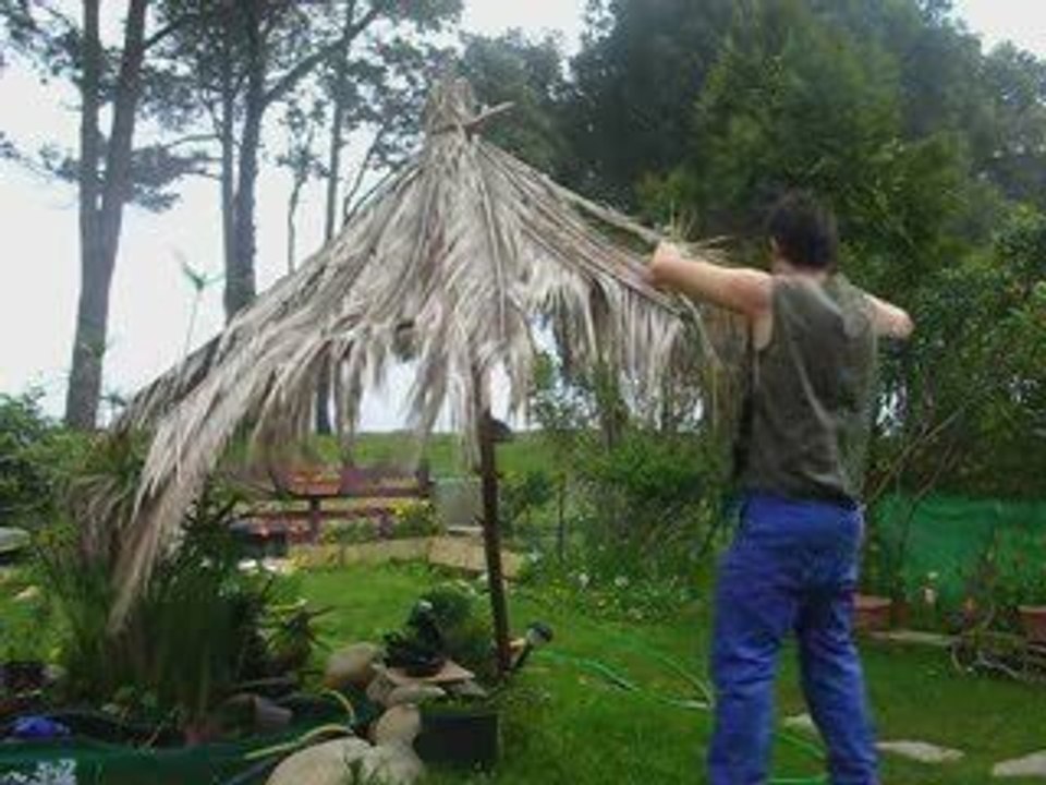 Parasol