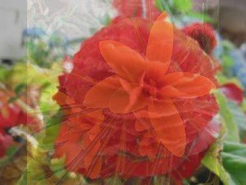 Slideshow