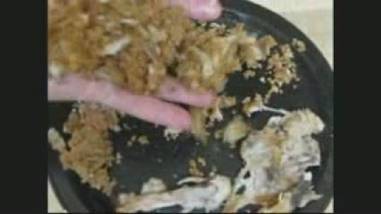 KFC Chicken is Gross. Period.