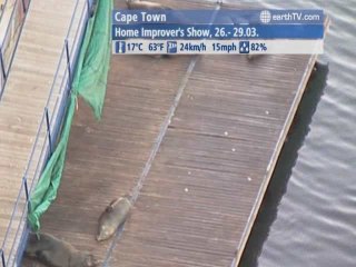 Seattle - USA, Yas Island - UAE - Abu Dhabi, Jakarta - Indonesia, Cape Town - South Africa, Amsterdam - Netherlands, Hong Kong SAR - China, Antalya - Turkey