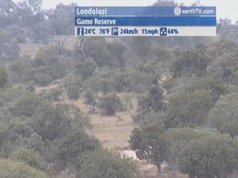 Geneva - Switzerland, Kyiv - Ukraine, Saint-Malo - France, Londolozi - South Africa, Berlin - Germany, Amsterdam - Netherlands, Honolulu - USA