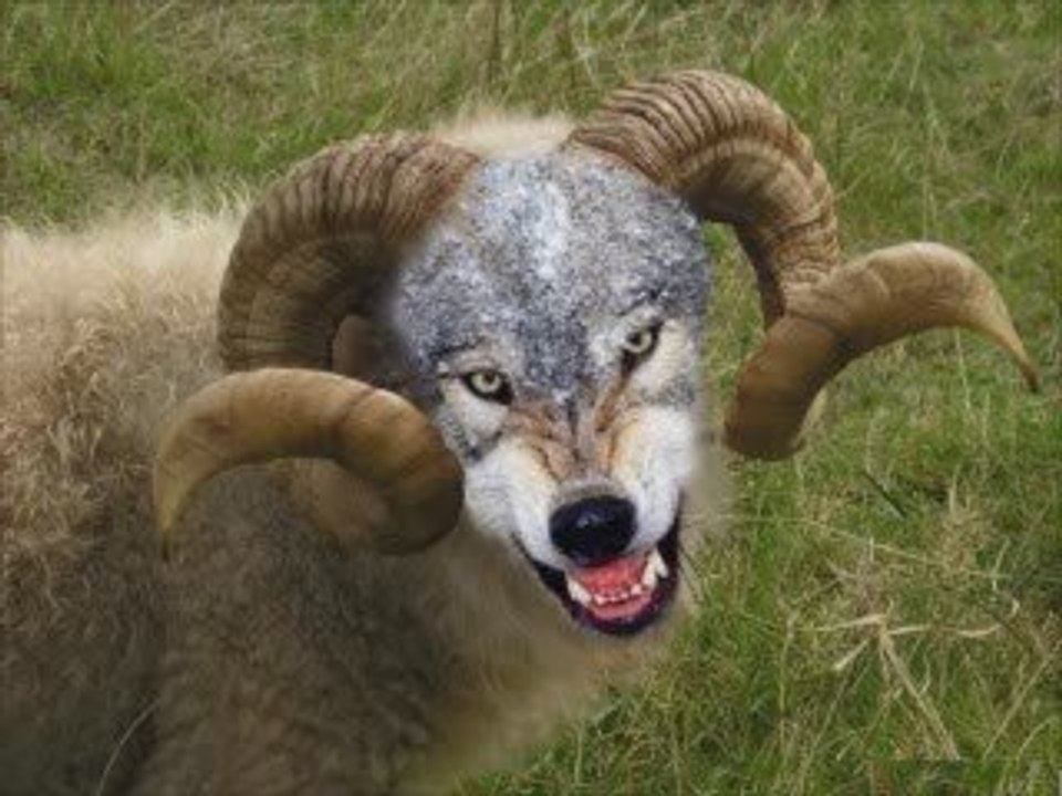 ApologetiX - Little Read Bible Book