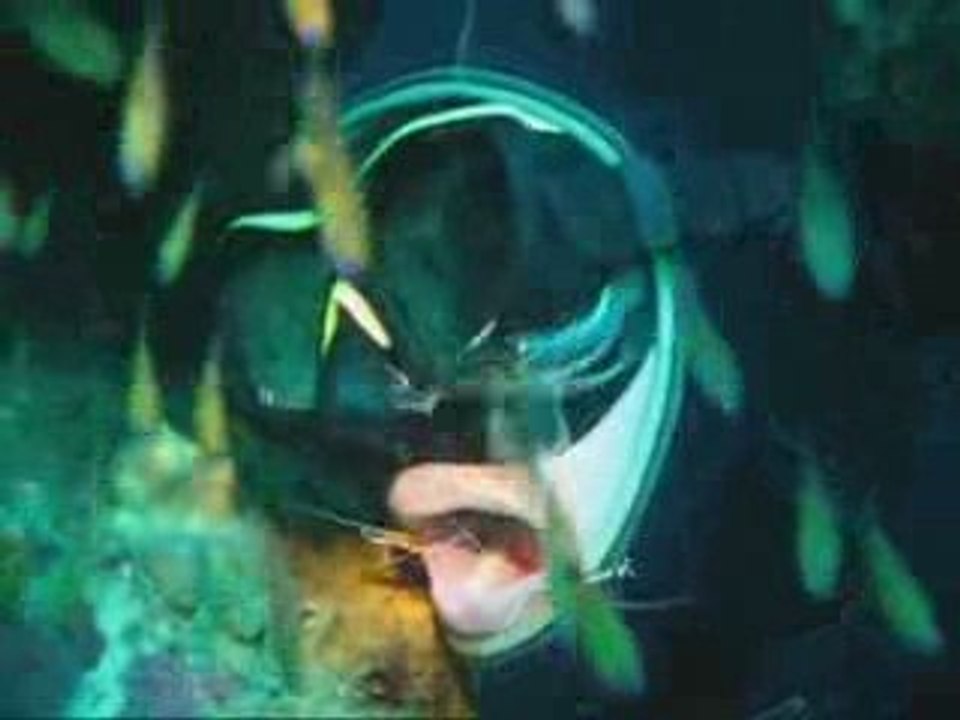 funny diving similan