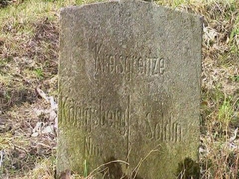 Pierwszy dzień wiosny - Video Panda Studio