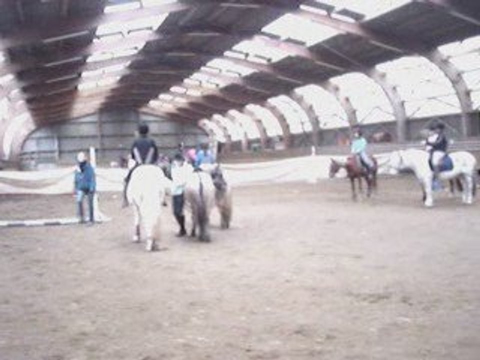 Chute de moi et patchi