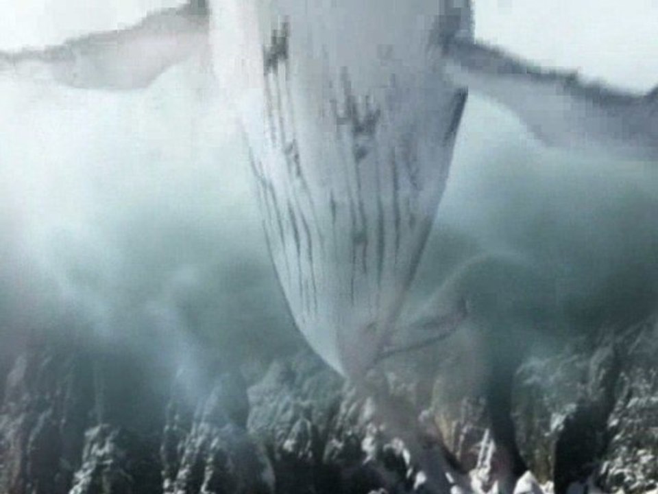 La "baleine" dans les nuages
