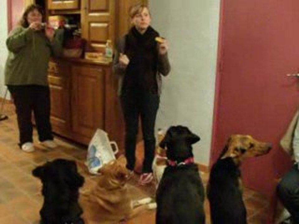 orélie dompteuse de gourmands