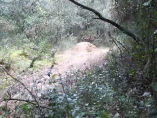 chemin des trois bosses(v) 2