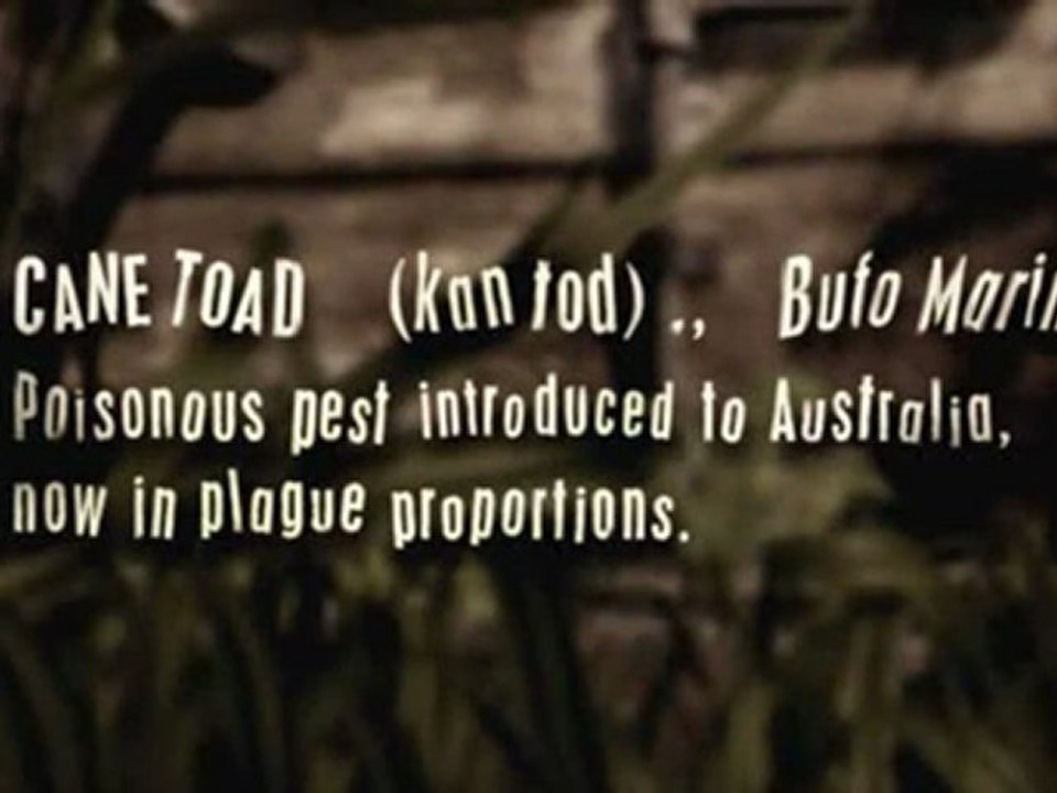 Canetoad