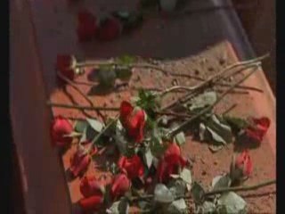 Max Liz Signs (Bittersweet Memories)