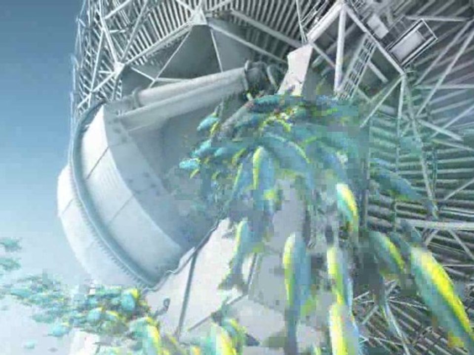 Les poissons ont-ils des antennes?