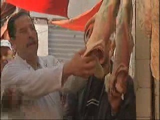 Arte Reportage Teaser Algérie Vladimir Vasak