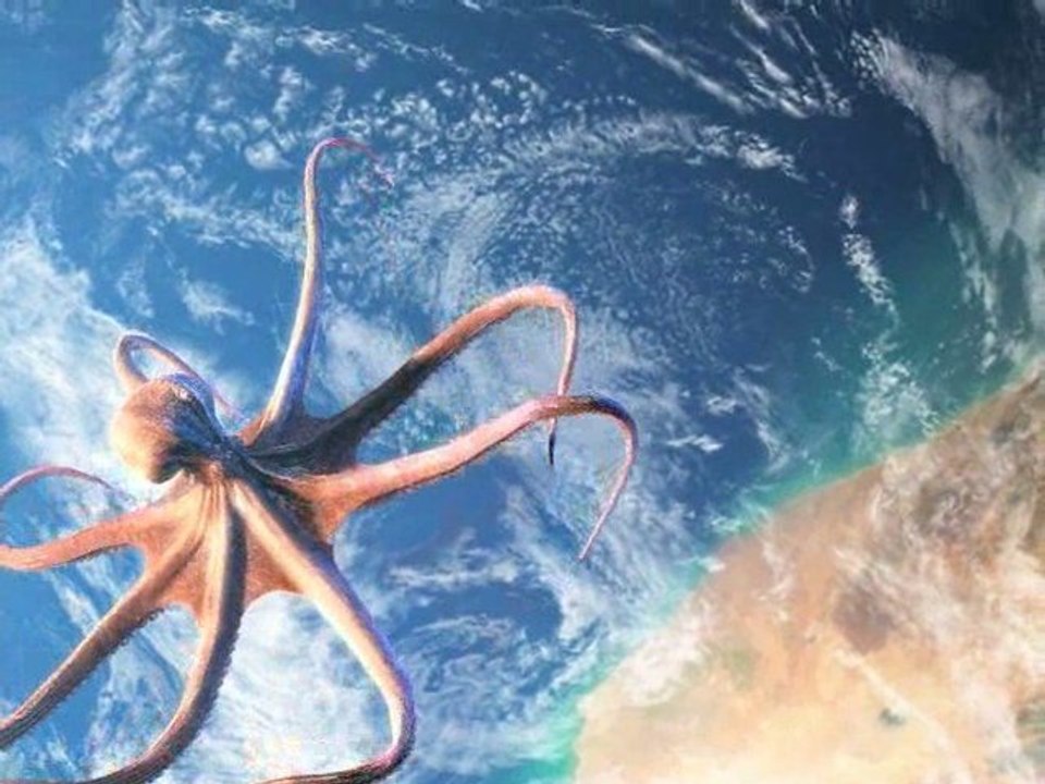 Là où la terre et la mer se rejoignent...