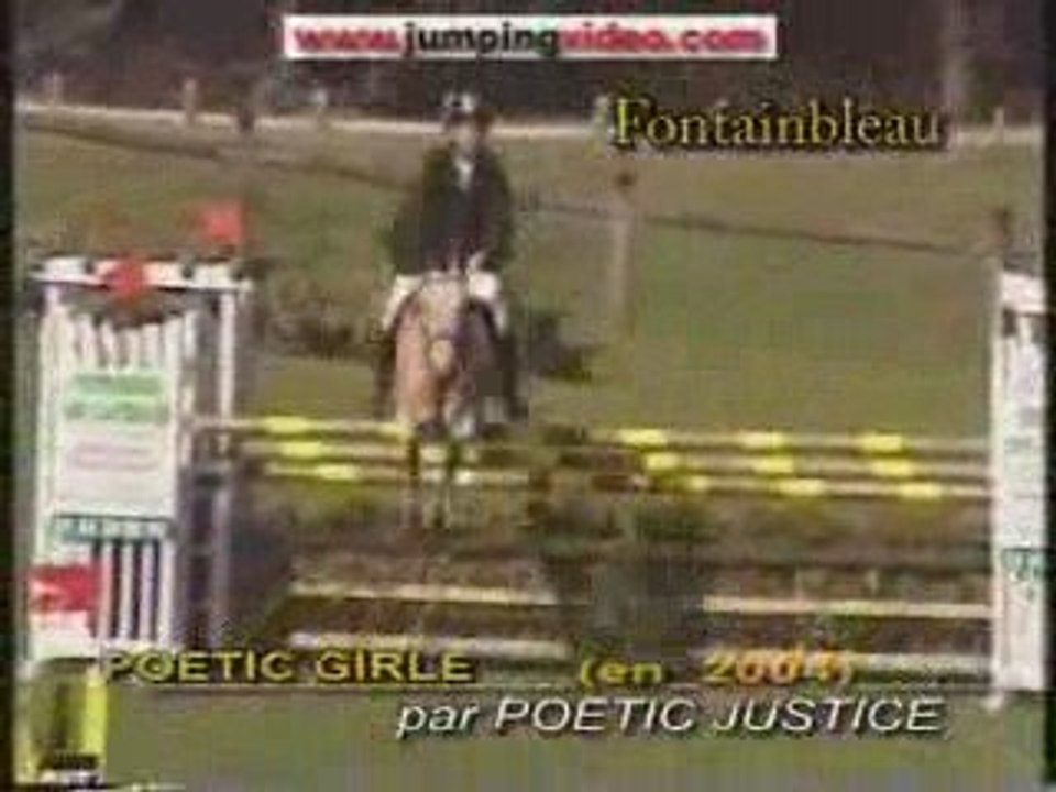 Champion de CSO