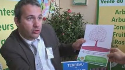 Les artisans du végétal / interview Sébastien Durand