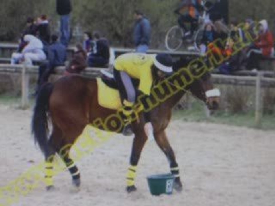 pony games alluet