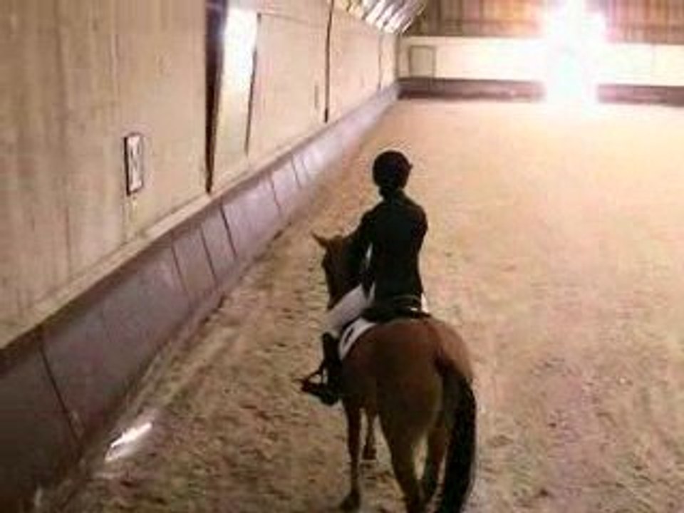 Premier Dressage avec Queiros - Club Poney Préliminaire