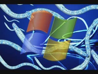 The Daily Digest Video #47