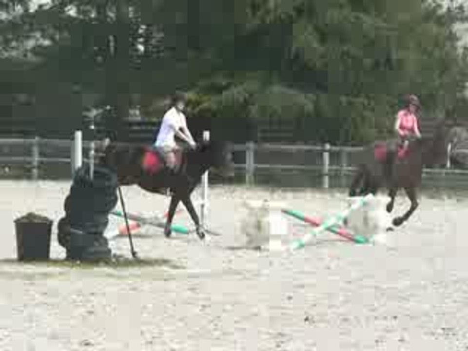 Détente OBSTACLE 1ER AVRIL