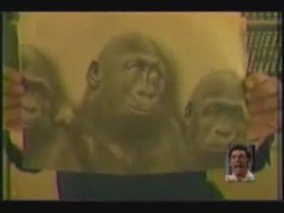 rabin raciste compare les noirs a des singes