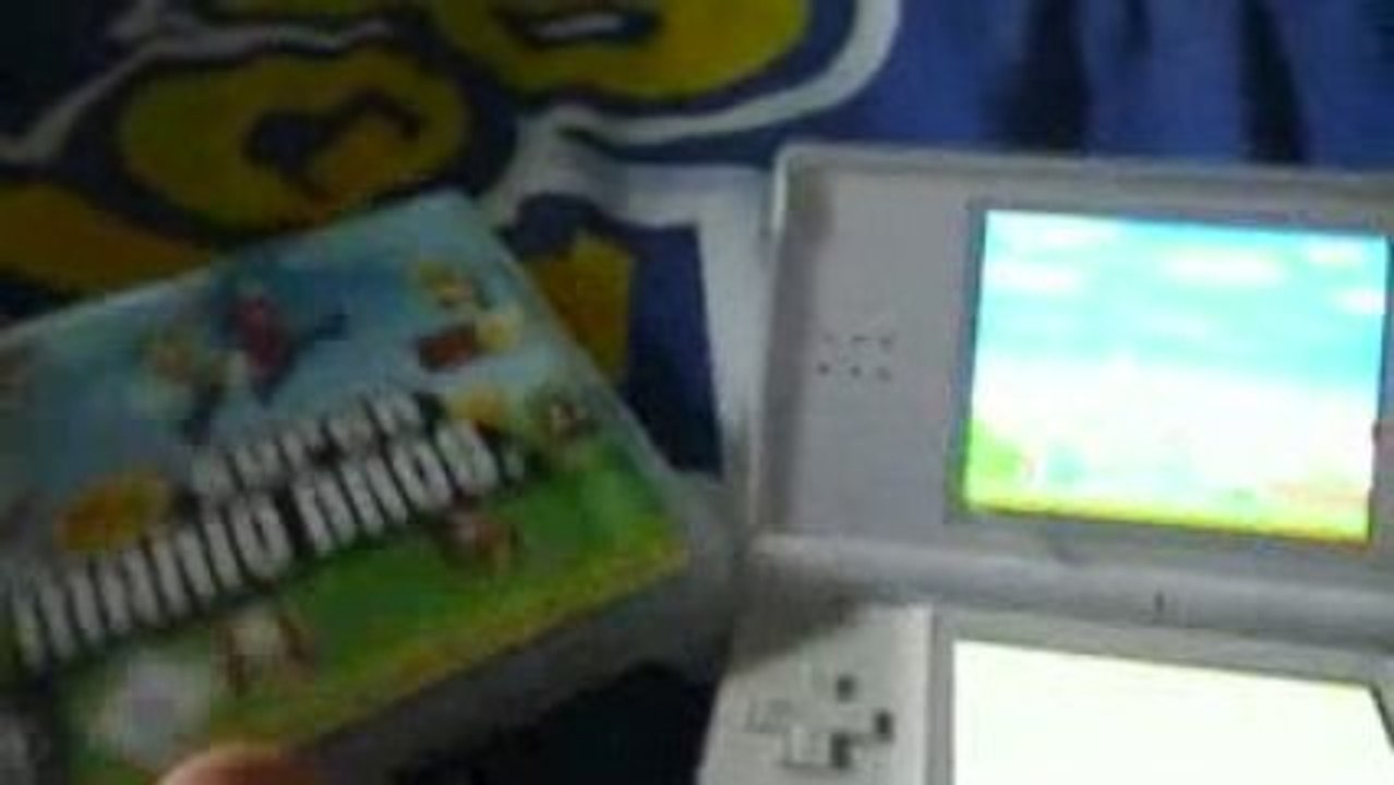 Vidéo test New super mario bros ( DS )