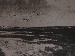 Poissons d'avril