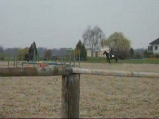 Photos sri lanka 2009 019