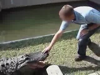 ATTENTION LES DOIGTS.... .