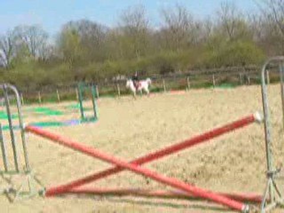 DSCN9353