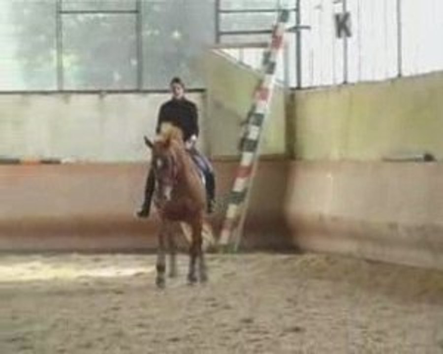 stage dressage escadron 29/03/09