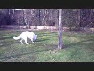 Moi, Denzo, 8 mois et en forme !