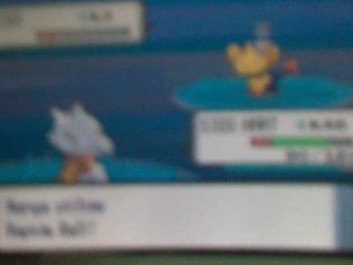 lixy shiney capture partie 1