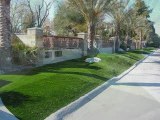Las Vegas Synthetic Lawns- Artificial Turf Las Vegas NV