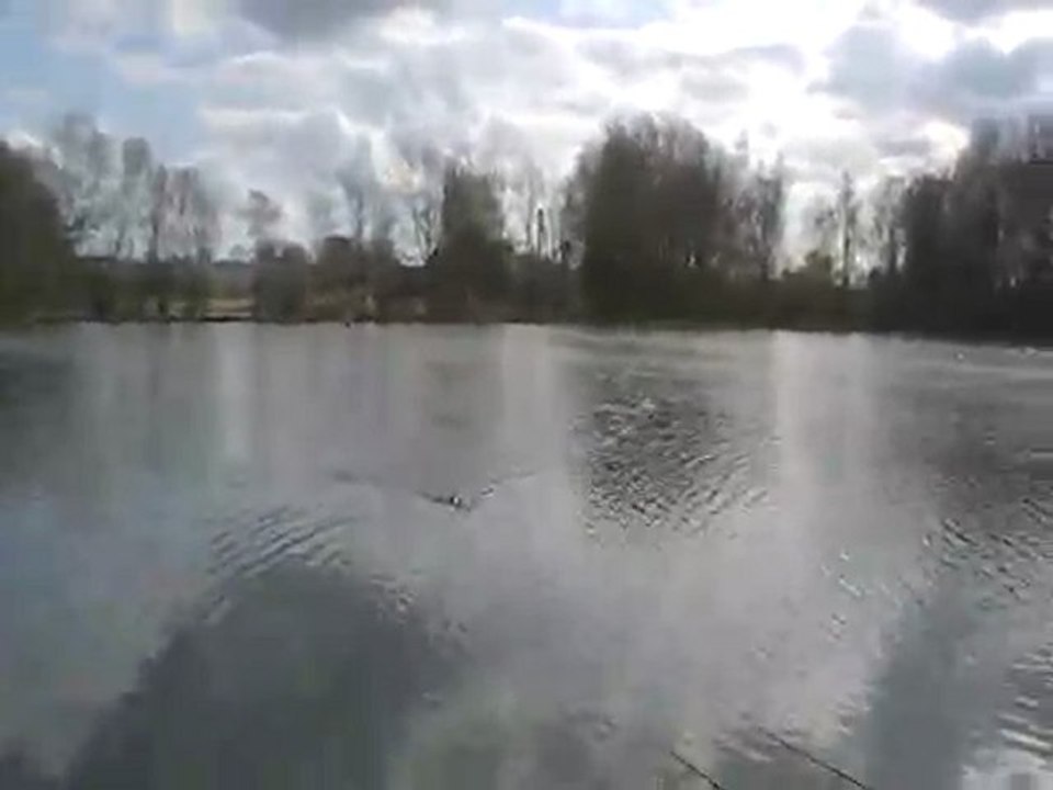 Carpe surprise!