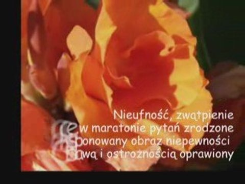 Justyna i Piotr, Ty i ja